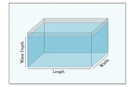 Aquarium Dimensions: Sizes By Length, Width & Height .